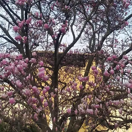 Porta Coi Sassi Apartamento *